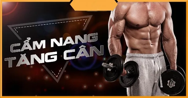 Sữa tăng cân Premium Mass Gainer và thực đơn chi tiết cho nam gầy tập Gym