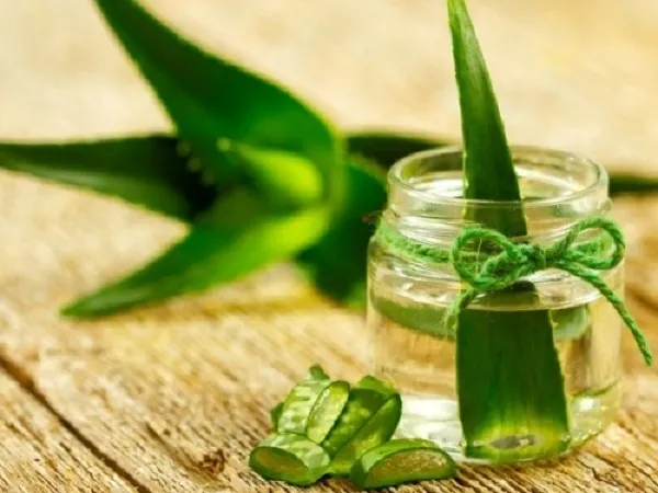 L&ocirc; hội gi&uacute;p l&agrave;m d&agrave;y l&ocirc;ng m&agrave;y hiệu quả
