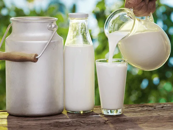 Sữa bầu kh&ocirc;ng đường cho b&agrave; bầu
