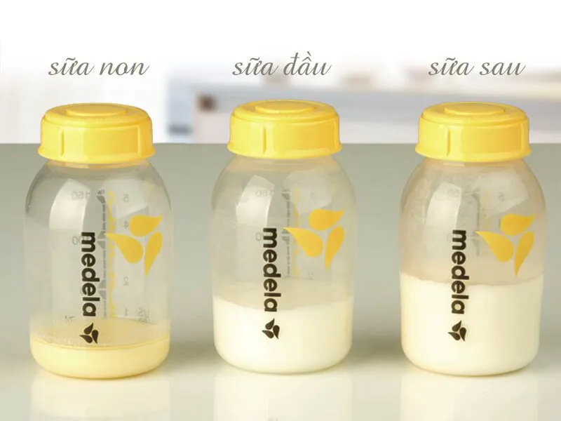 Sữa non gi&aacute; bao nhi&ecirc;u 1 hộp, c&aacute;c loại sữa non tốt 2
