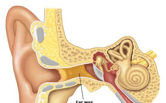 [TIPS] Sử dụng máy hút ráy tai Nhật Bản để giữ an toàn thính giác cho bạn và người thân