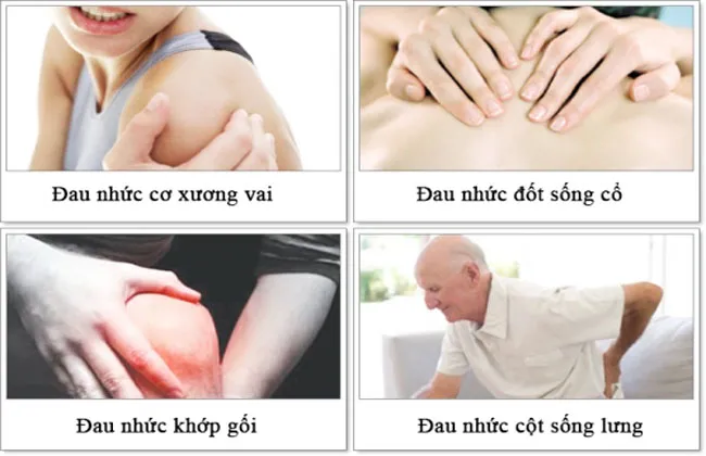 đối tượng sử dụng Glucosamine