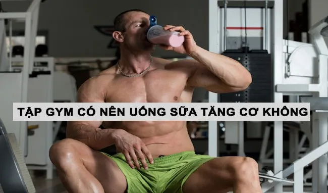 Các gymer đã ai dùng Whey Gold Standard On chưa? Có nên mua không ?