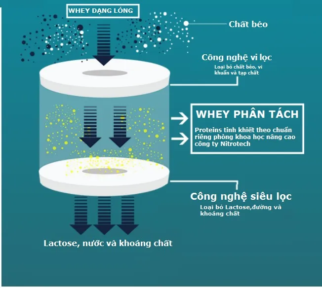 Nitro Tech Whey Gold - lí do gì khiến người muốn tăng cơ lựa chọn sử dụng ?