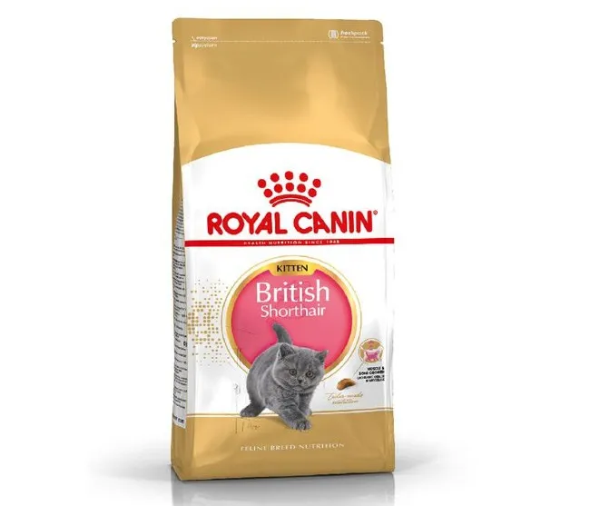 Thức ăn cho mèo con loại nào tốt? Review các loại thức ăn cho mèo con