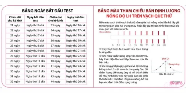 bảng t&iacute;nh rụng trứng sinh con trai ch&iacute;nh x&aacute;c&nbsp;