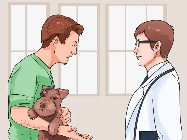 Kh&aacute;m bệnh định kỳ để tăng tuổi thọ cho ch&oacute; 