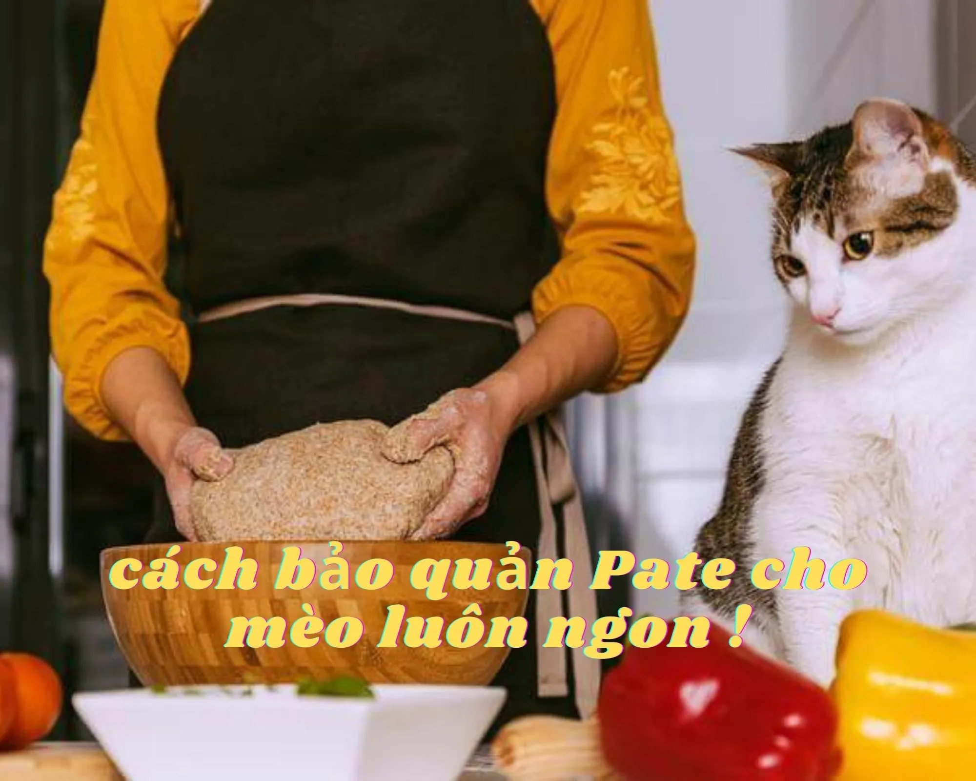 Những c&aacute;ch bảo quản Pate cho m&egrave;o đơn giản, để được l&acirc;u