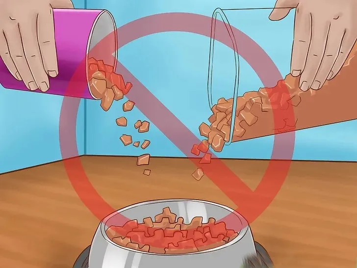 Đừng trộn Pate cũ với Pate mới, ch&uacute;ng c&oacute; thể khiến m&egrave;o bị đau bụng