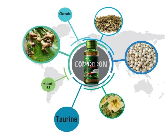 Th&agrave;nh phần nước uống giải rượu Condition