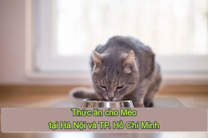 Thức ăn cho m&egrave;o H&agrave; Nội v&agrave; TPHCM uy t&iacute;n