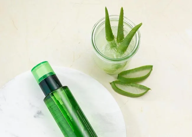 C&aacute;ch l&agrave;m xịt kho&aacute;ng từ gel nha đam v&agrave; dưa chuột