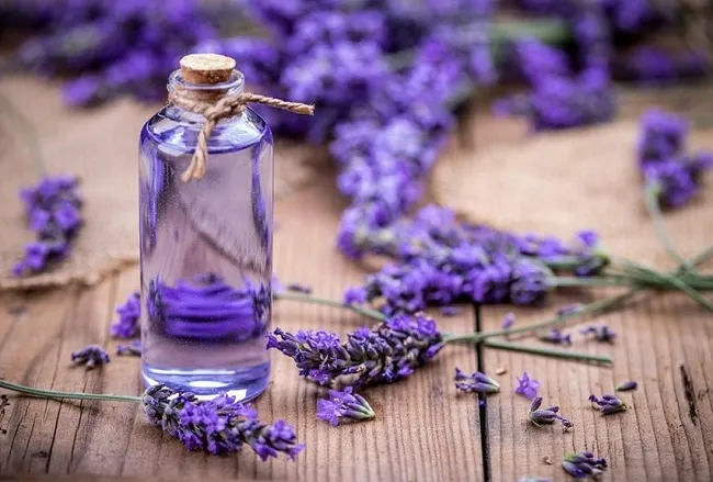 C&aacute;ch l&agrave;m xịt kho&aacute;ng từ tinh dầu hoa oải hương