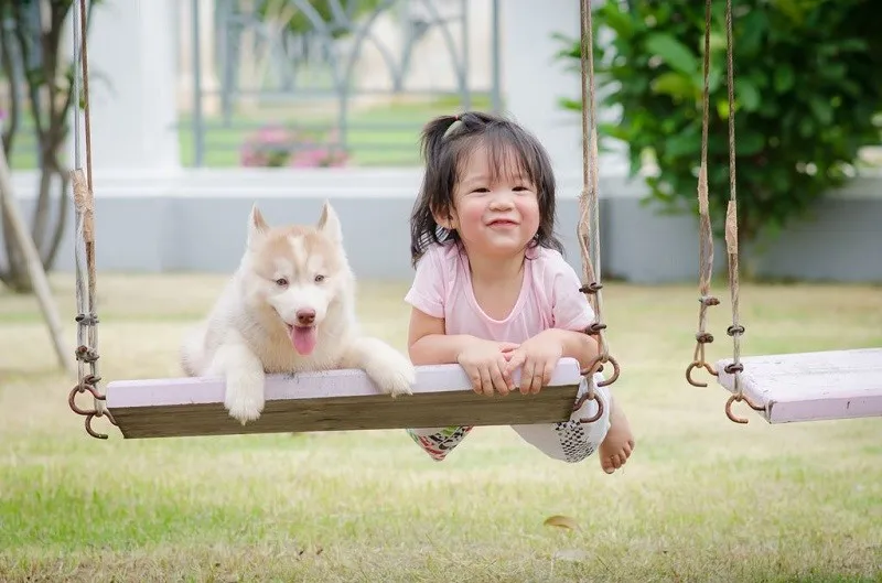 Hạn chế hoặc gi&aacute;m s&aacute;t trẻ em khi chơi với vật nu&ocirc;i