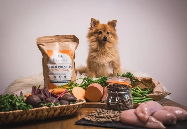 Chọn đ&uacute;ng th&agrave;nh phần cần thiết cho ch&uacute; ch&oacute; của bạn
