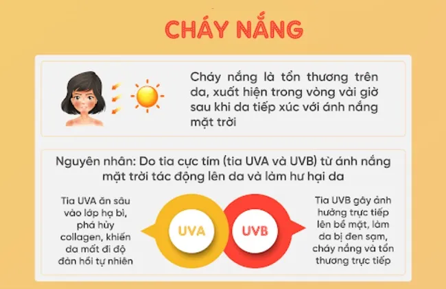 Nguy&ecirc;n nh&acirc;n g&acirc;y ch&aacute;y nắng