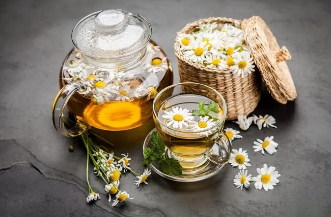 Tr&agrave; hoa c&uacute;c gi&uacute;p chữa da bị ch&aacute;y nắng