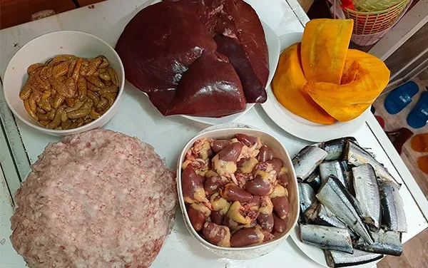 c&aacute;ch l&agrave;m pate cho m&egrave;o muốn ngon th&igrave; nguy&ecirc;n liệu phải tươi