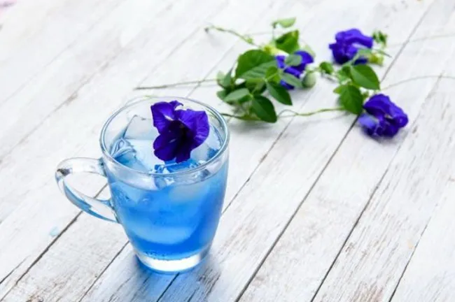C&aacute;ch pha tr&agrave; hoa đậu biếc