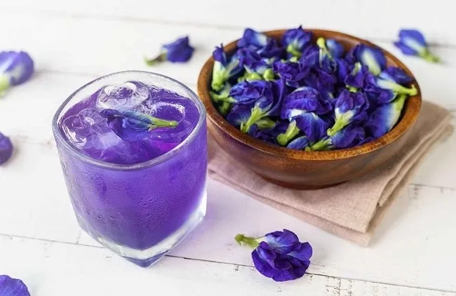 C&aacute;ch uống hoa đậu biếc đ&uacute;ng chuẩn