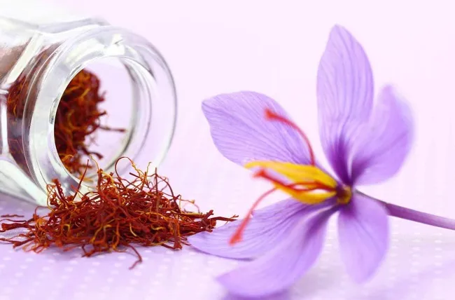 C&aacute;ch chọn mua Saffron