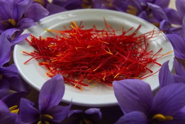 C&aacute;ch uống Saffron giảm c&acirc;n