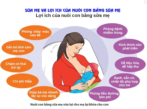 Sữa mẹ l&agrave; nguồn sữa dinh dưỡng tốt cho trẻ sơ sinh v&agrave; trẻ nhỏ