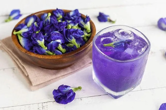 Cho con b&uacute; kh&ocirc;ng n&ecirc;n ăn g&igrave;? C&aacute;c đồ uống từ hoa đậu biếc cần hỏi tư vấn từ b&aacute;c sĩ trước khi d&ugrave;ng