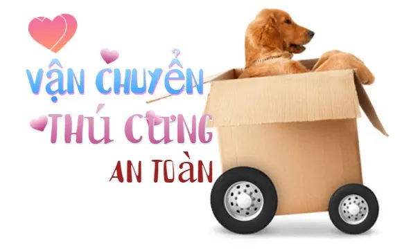 Kinh nghiệm vận chuyển ch&oacute; m&egrave;o bằng &ocirc; t&ocirc; l&agrave;nh t&iacute;nh