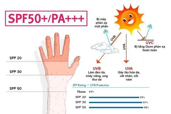 Chỉ số SPF gi&uacute;p ảnh b&aacute;o khả năng mức % ngăn chặn tia UV độc hại