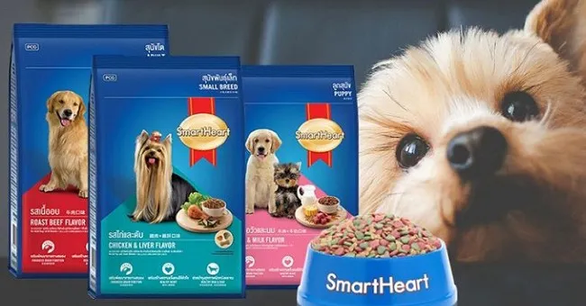 Thức ăn cho ch&oacute; Poodle Smartheart&nbsp;