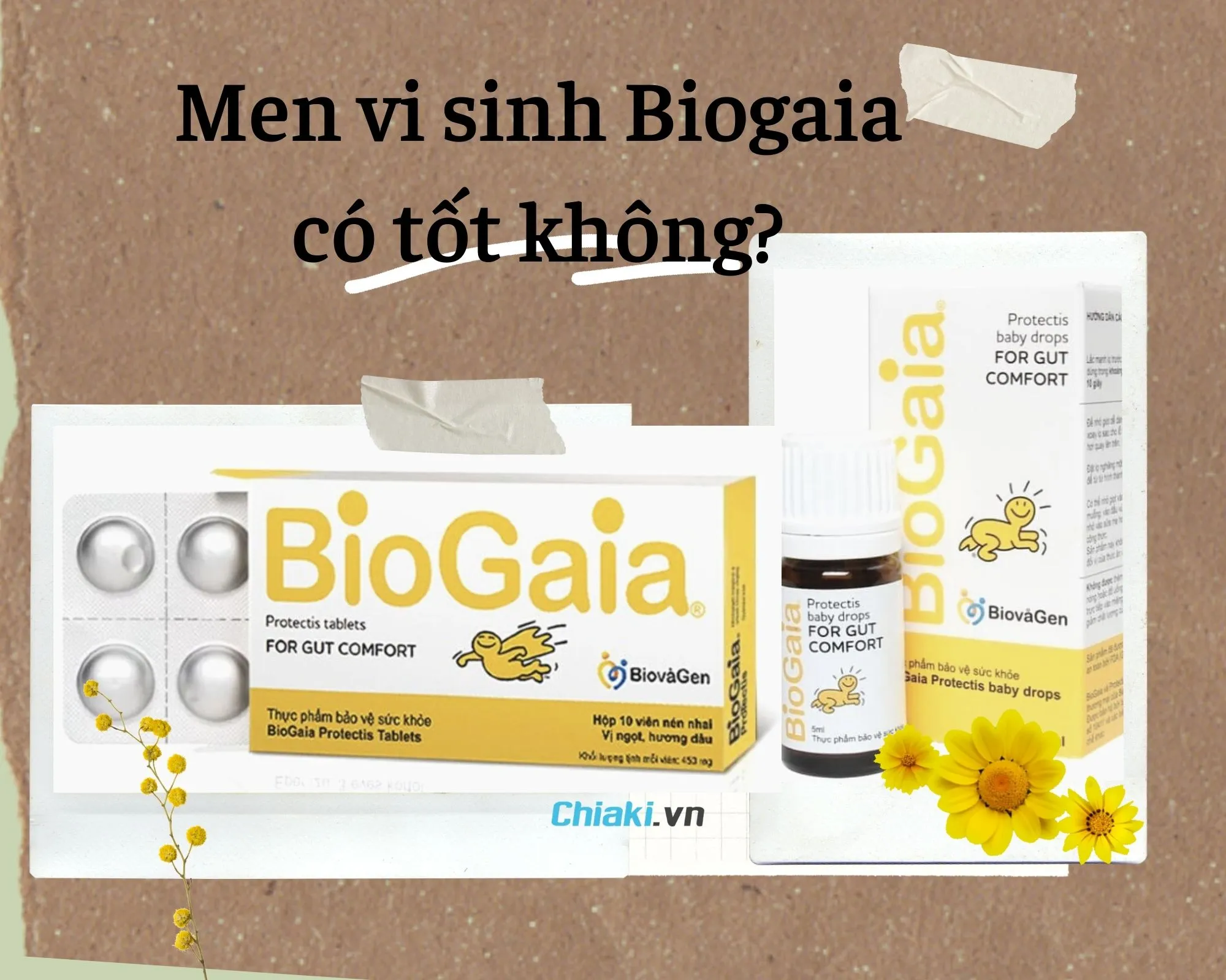 Biogaia c&oacute; ưu điểm g&igrave;? Biogaia c&oacute; mấy loại ? Gi&aacute; bao nhi&ecirc;u?