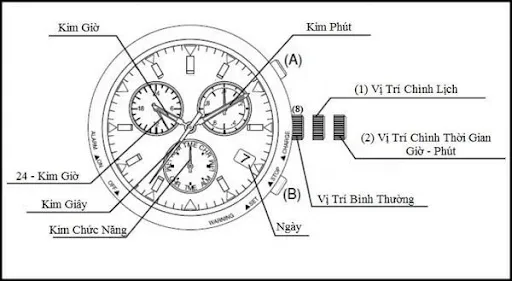 C&aacute;ch chỉnh đồng hồ Citizen Eco Drive 6 kim đ&uacute;ng c&aacute;ch