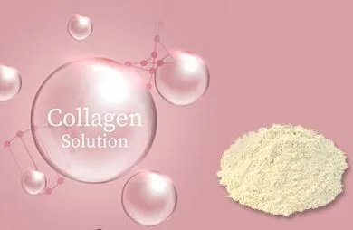 Collagen dạng bột l&agrave; g&igrave;?