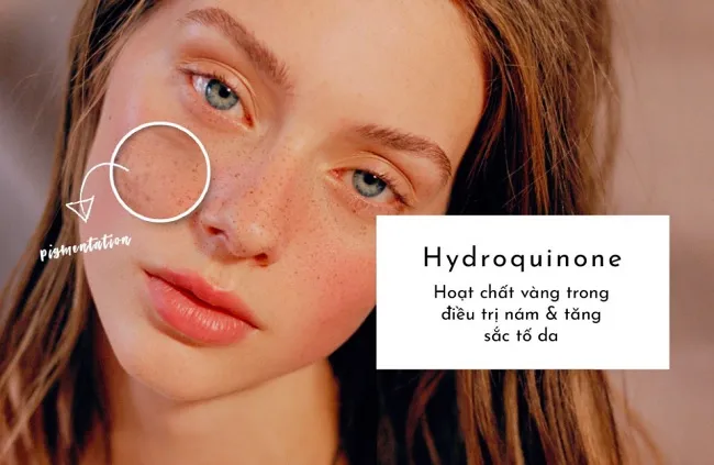 Hydroquinone l&agrave; g&igrave;