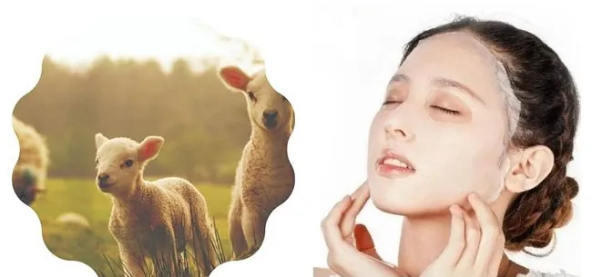Mặt nạ nhau thai cừu