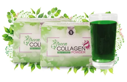 C&aacute;ch sử dụng diệp lục collagen hiệu quả cao