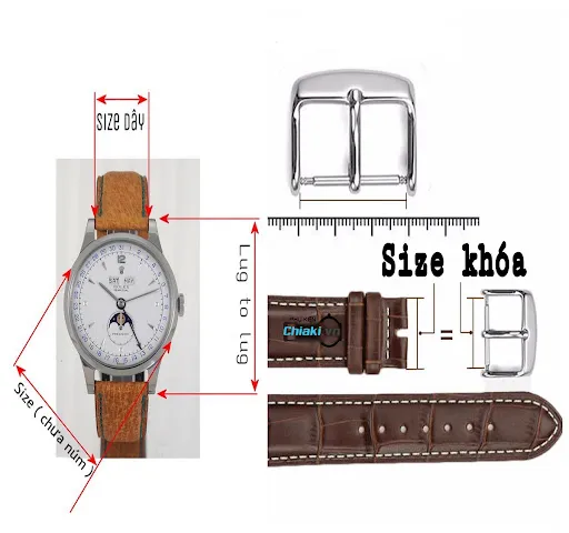 Đo size đồng hồ dựa v&agrave;o độ d&agrave;i d&acirc;y đeo