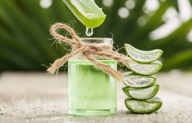 Sữa rửa mặt nha đam c&oacute; khả năng l&agrave;m sạch da, gi&uacute;p da mềm mịn v&agrave; tươi s&aacute;ng hơn.&nbsp;
