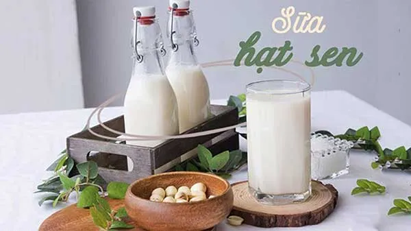 101 c&ocirc;ng thức l&agrave;m sữa hạt bằng m&aacute;y l&agrave;m sữa hạt