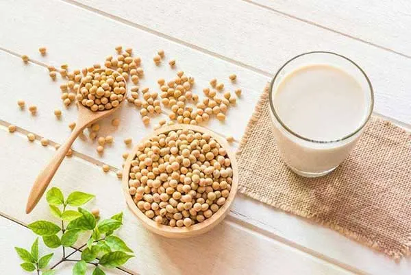 C&aacute;c c&ocirc;ng thức l&agrave;m sữa hạt bằng m&aacute;y xay sữa hạt