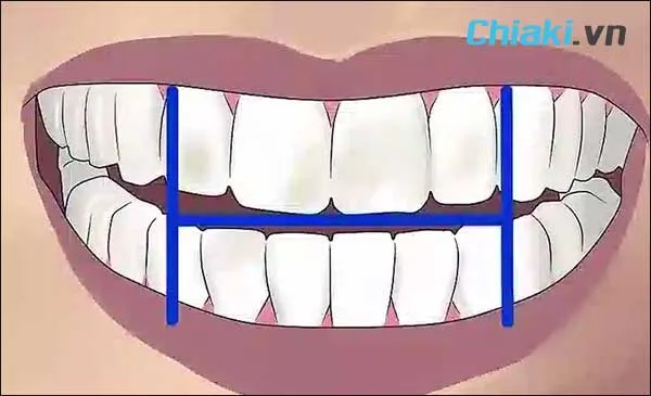 c&aacute;ch sử dụng b&agrave;n chải đ&aacute;nh răng điện