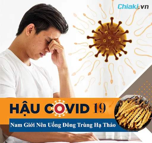 Đ&ocirc;ng tr&ugrave;ng hạ thảo cải thiện di chứng &ldquo;Hậu Covid 19&rdquo; cho nam giới