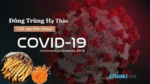 đ&ocirc;ng tr&ugrave;ng hạ thảo hỗ trợ cải thiện triệu chứng &ldquo;Hậu Covid 19&rdquo;