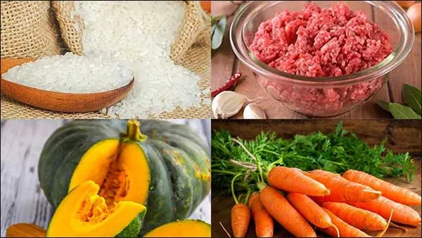 c&ocirc;ng thức nấu ch&aacute;o bằng m&aacute;y l&agrave;m sữa hạt