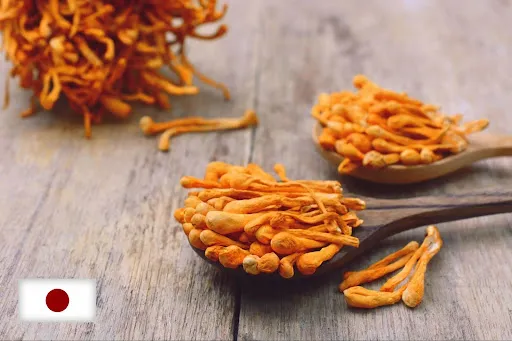 ưu điểm của đ&ocirc;ng tr&ugrave;ng hạ thảo Nhật bản