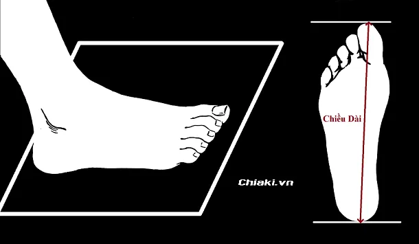 Hướng dẫn c&aacute;ch đo size gi&agrave;y cho chị em