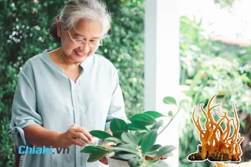 Đ&ocirc;ng tr&ugrave;ng hạ thảo gi&uacute;p duy tr&igrave; hệ h&ocirc; hấp khỏe mạnh