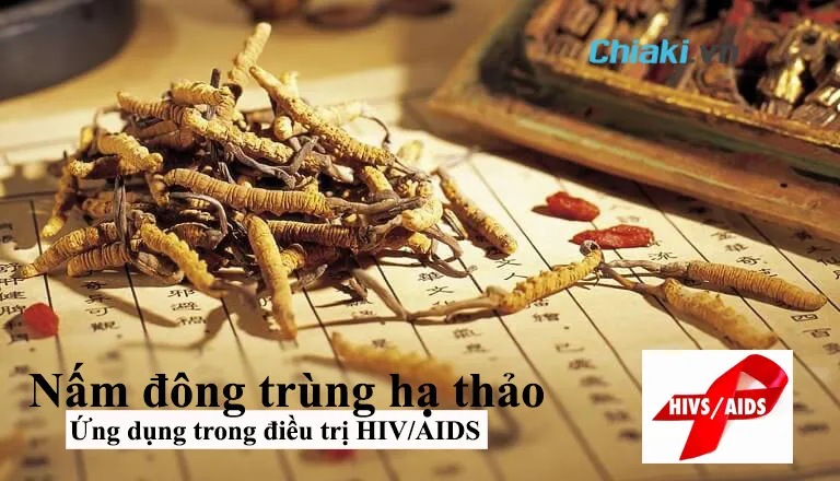 đ&ocirc;ng tr&ugrave;ng hạ thảo được ứng dụng trong điều trị HIV/AIDS