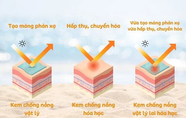 Cơ chế hoạt động của kem chống nắng vật l&yacute; lai h&oacute;a học&nbsp;